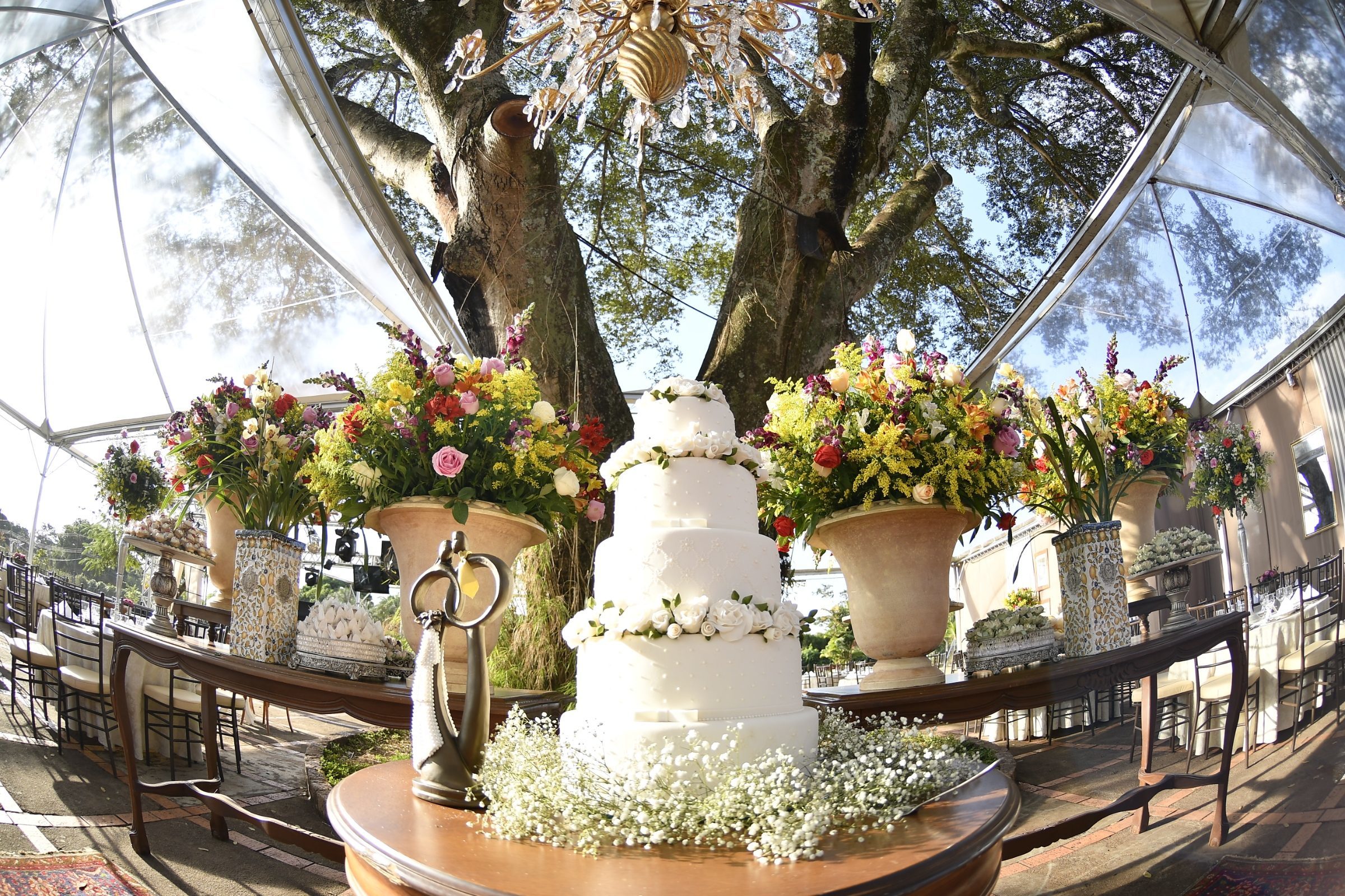 Foto de ADRIANA ALVES ARGOLO 9